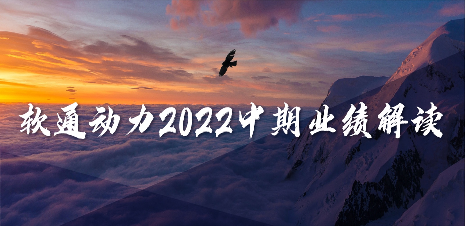 ٷƽ̨2022ҵʵΪӪȹһŻӪҵṹ